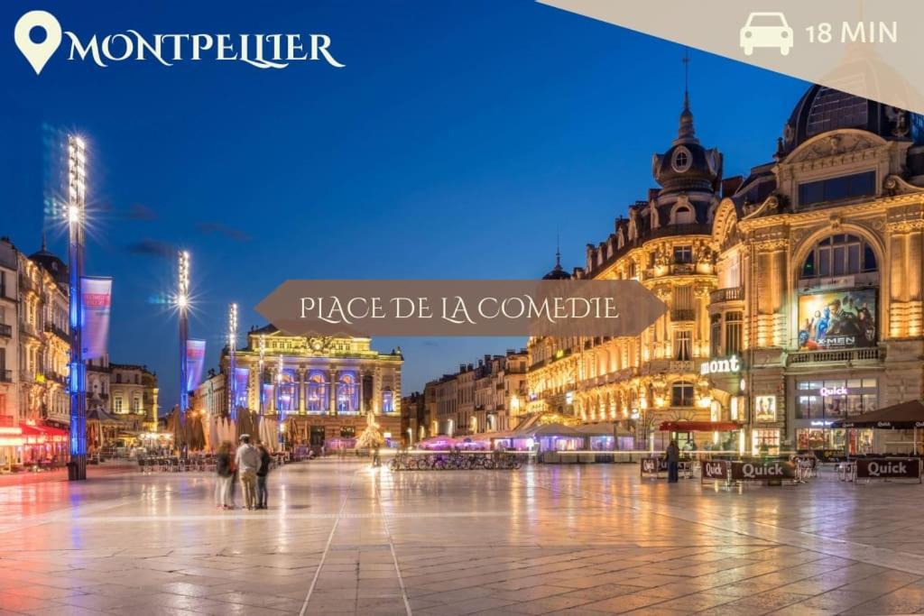 016- T2 Tropisme, Appart 1 Chambre,Clim,Wifi,Parking مونبيلييه المظهر الخارجي الصورة