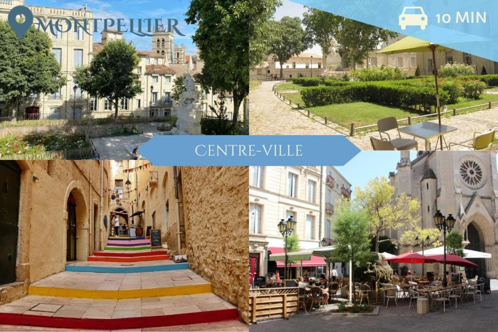 016- T2 Tropisme, Appart 1 Chambre,Clim,Wifi,Parking مونبيلييه المظهر الخارجي الصورة