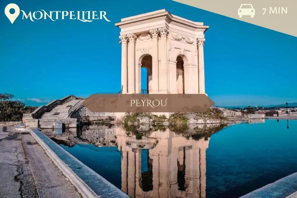 016- T2 Tropisme, Appart 1 Chambre,Clim,Wifi,Parking مونبيلييه المظهر الخارجي الصورة